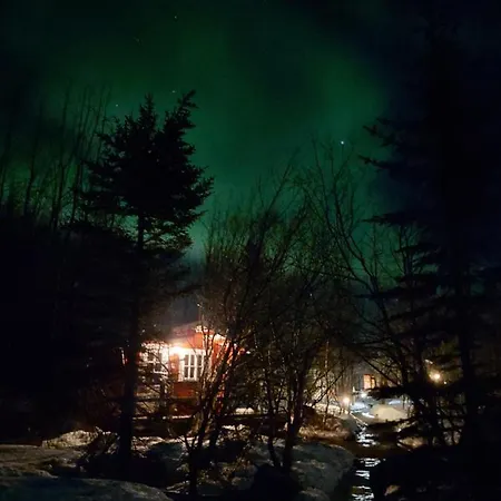 Bakkakot 3 Cozy Cabin In The Woods Akureyri Exterior photo