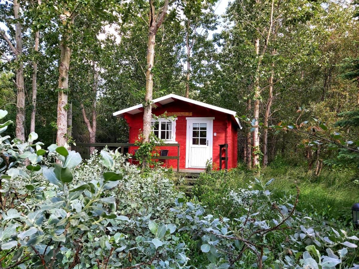 Bakkakot 3 Cozy In The Woods * Akureyri