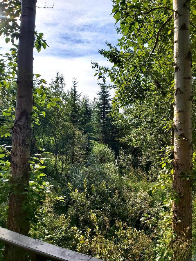Bakkakot 3 Cozy In The Woods * Akureyri