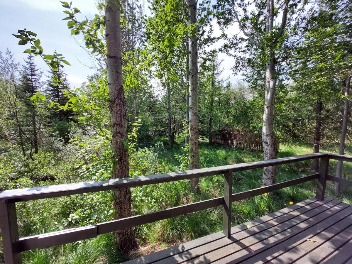 Apartment Bakkakot 3 Cozy In The Woods Akureyri